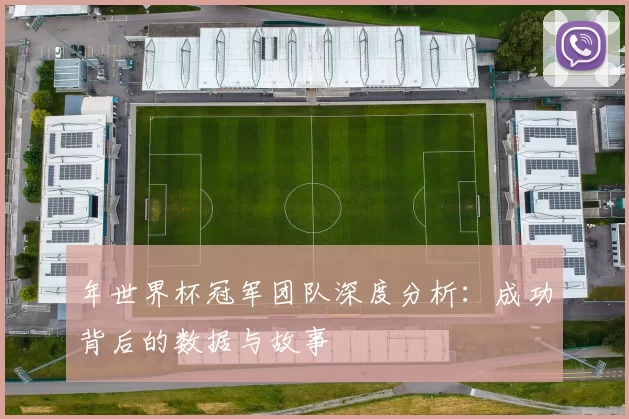 年世界杯冠军团队深度分析:成功背后的数据与故事