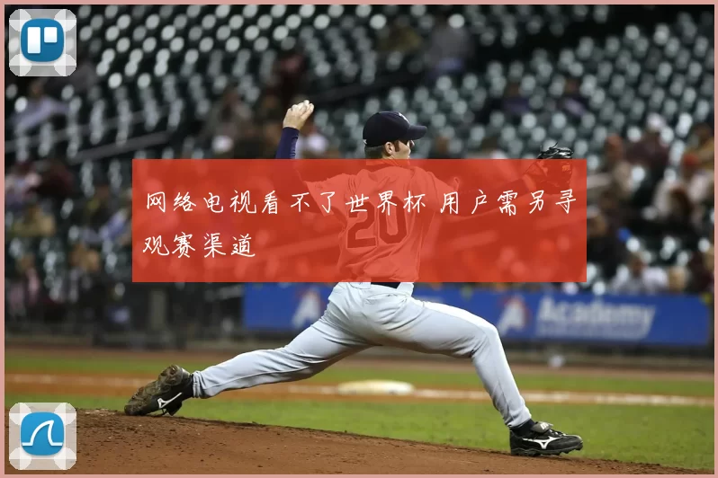 网络电视看不了世界杯 用户需另寻观赛渠道