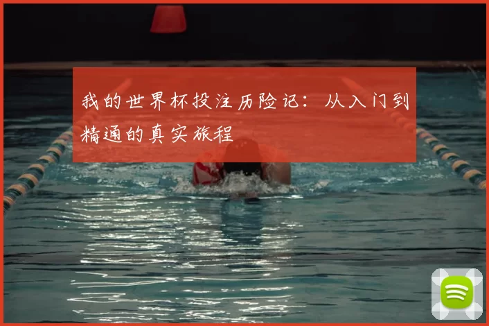 我的世界杯投注历险记：从入门到精通的真实旅程