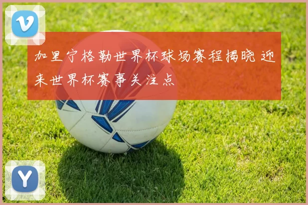加里宁格勒世界杯球场赛程揭晓 迎来世界杯赛事关注点