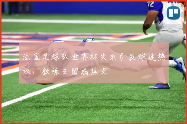 法国足球队世界杯失利引发球迷热议,教练去留成焦点