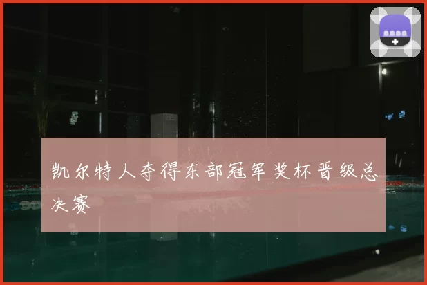 凯尔特人夺得东部冠军奖杯晋级总决赛