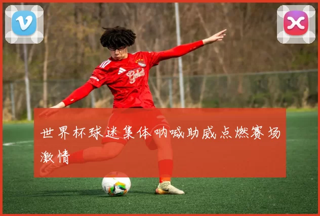 世界杯球迷集体呐喊助威点燃赛场激情