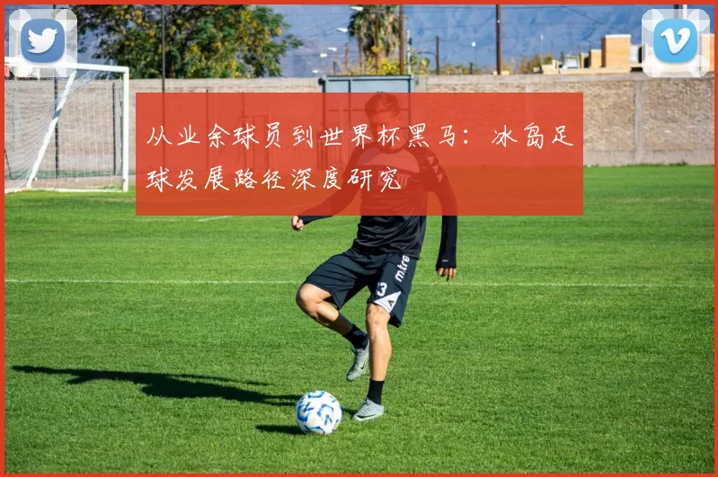 从业余球员到世界杯黑马:冰岛足球发展路径深度研究