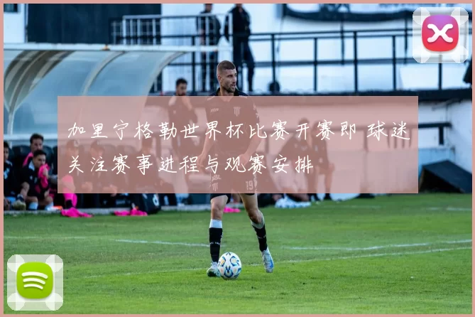 加里宁格勒世界杯比赛开赛即 球迷关注赛事进程与观赛安排