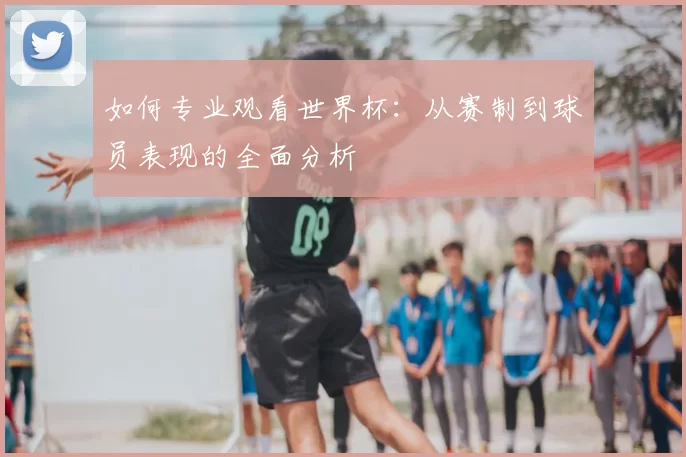 如何专业观看世界杯:从赛制到球员表现的全面分析