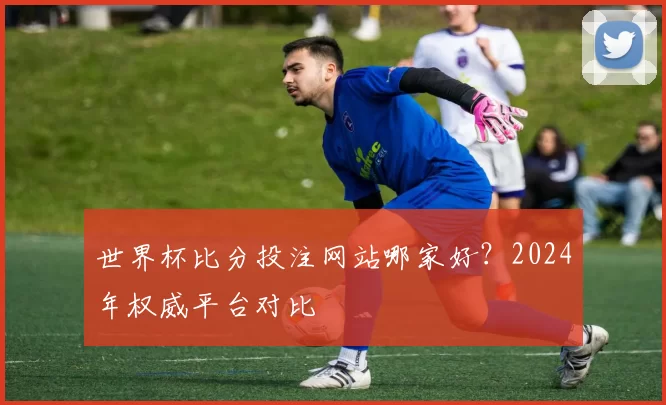 世界杯比分投注网站哪家好？2024年权威平台对比