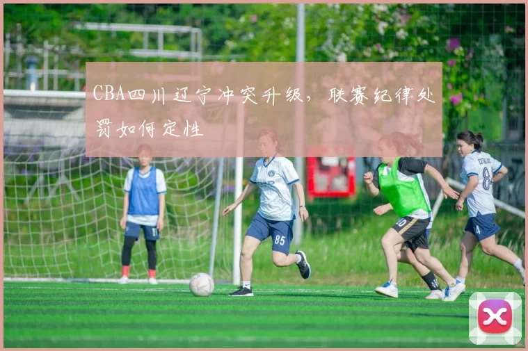 CBA四川辽宁冲突升级,联赛纪律处罚如何定性