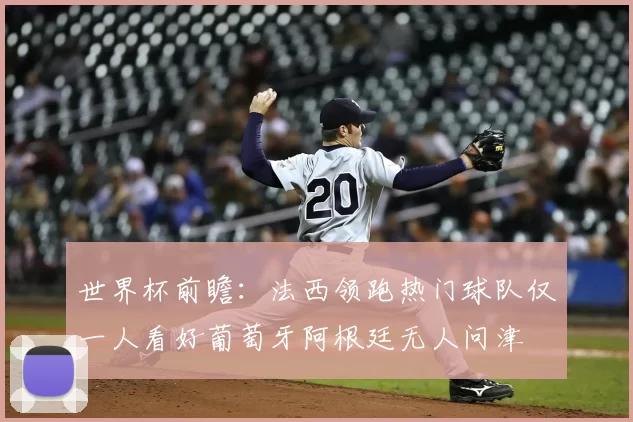 世界杯前瞻:法西领跑热门球队仅一人看好葡萄牙阿根廷无人问津