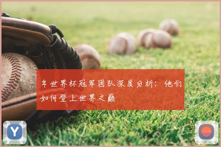 年世界杯冠军团队深度分析：他们如何登上世界之巅