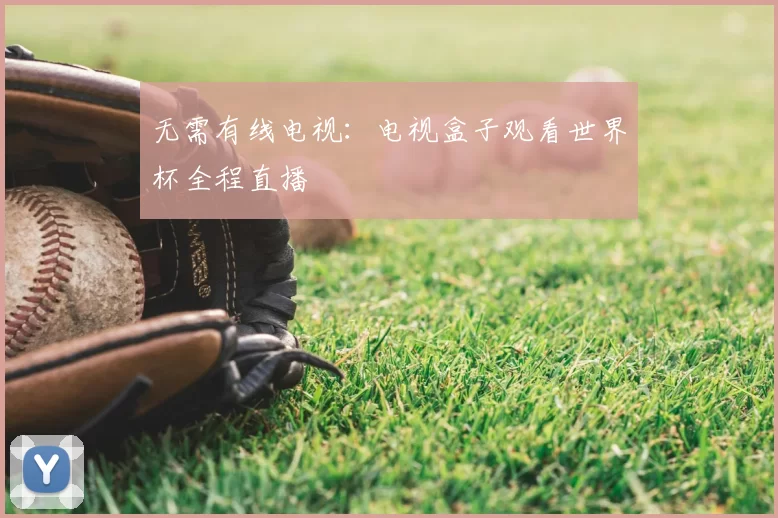 无需有线电视：电视盒子观看世界杯全程直播